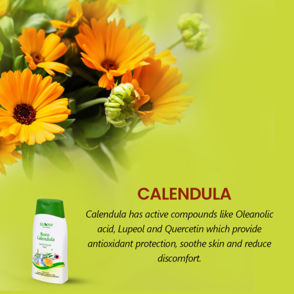 BORO CALENDULA TALCUM POWDER-100GMS