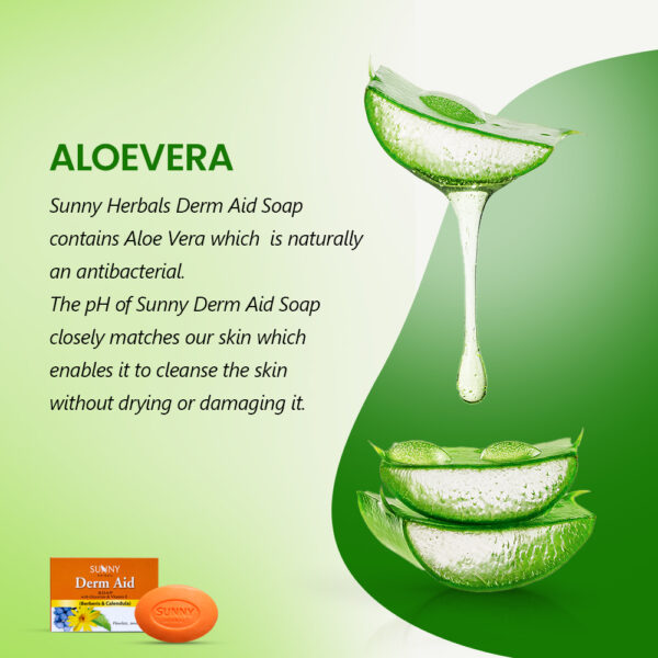 SUNNY HERBALS DERM AID SOAP-75GMS