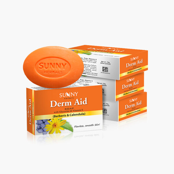 SUNNY HERBALS DERM AID SOAP (PACK OF 4)