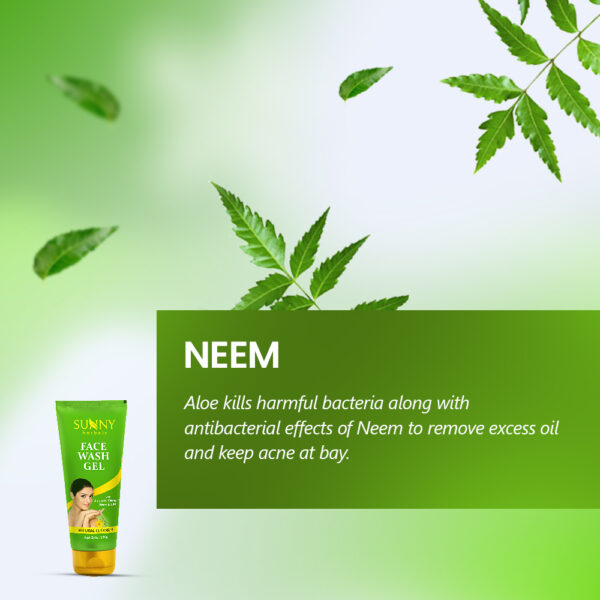 SUNNY HERBALS FACE WASH GEL (WITH NEEM AND TULSI)-110GMS