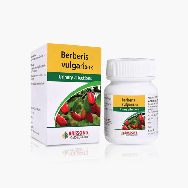 BERBERIS VULGARIS -1X-50TAB