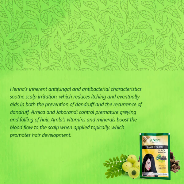 SUNNY HERBALS HAIR COLOR -BLACK (PACK OF 6)