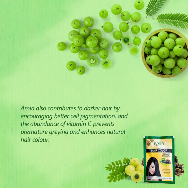 SUNNY HERBALS HAIR COLOR -BLACK (PACK OF 6)
