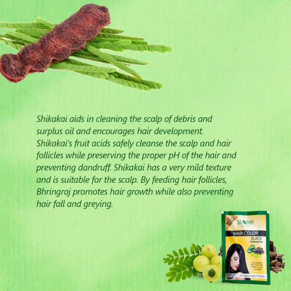 SUNNY HERBALS HAIR COLOR -BLACK (PACK OF 6)