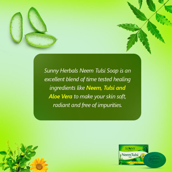 NEEM TULSI SOAP-75GMS WITH HAIR REVIVER 30 ML (PACK OF 3 PCS SOAP WITH 1 PC HAIR REV)